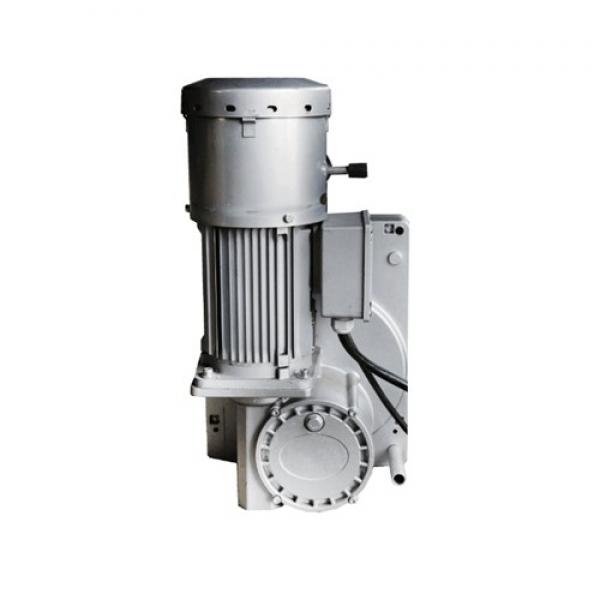 Motor de elevación LTD63 220V 60HZ para andamios colgantes eléctricos #1 image